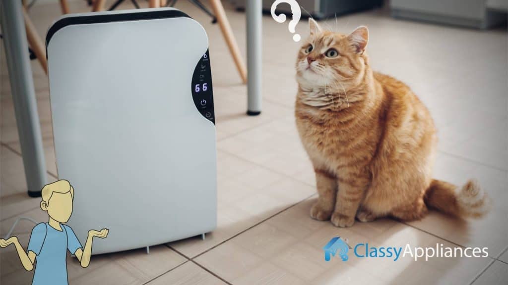 air purifier or dehumidifier which one you need?