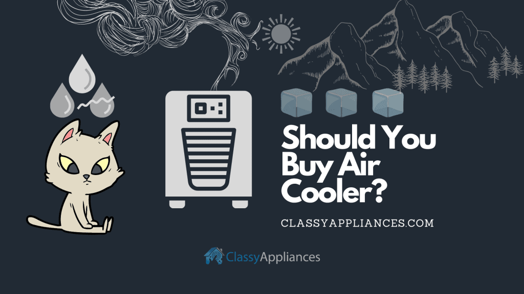 should you buy air cooler